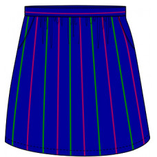 Senior Girl's Skirt